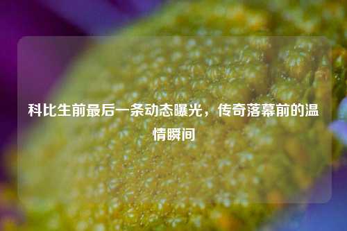 科比生前最后一条动态曝光,传奇落幕前的温情瞬间