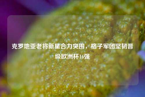 克罗地亚老将新星合力突围,格子军团坚韧晋级欧洲杯16强