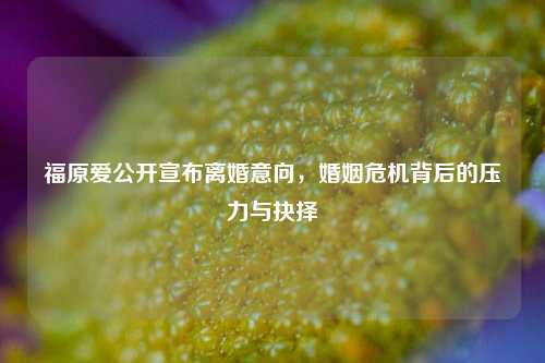 福原爱公开宣布离婚意向,婚姻危机背后的压力与抉择
