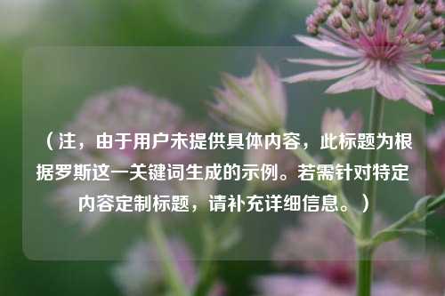 (注,由于用户未提供具体内容,此标题为根据罗斯这一关键词生成的示例。若需针对特定内容定制标题,请补充详细信息。)
