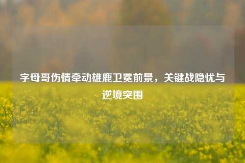 字母哥伤情牵动雄鹿卫冕前景，关键战隐忧与逆境突围