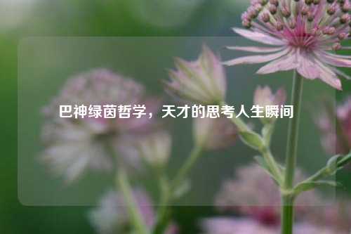 巴神绿茵哲学,天才的思考人生瞬间