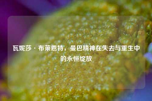 瓦妮莎·布莱恩特,曼巴精神在失去与重生中的永恒绽放