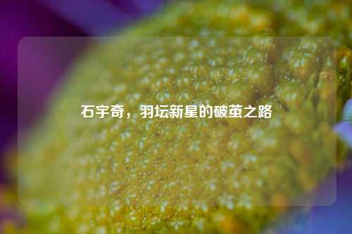 石宇奇，羽坛新星的破茧之路