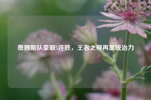詹姆斯队豪取5连胜，王者之师再显统治力