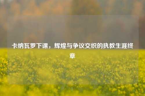 卡纳瓦罗下课，辉煌与争议交织的执教生涯终章
