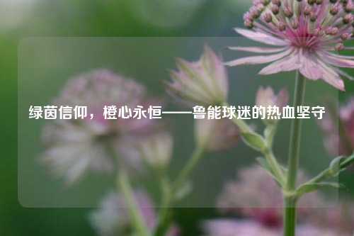 绿茵信仰,橙心永恒——鲁能球迷的热血坚守
