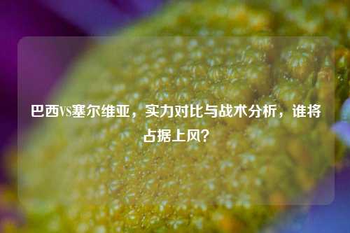 巴西VS塞尔维亚，实力对比与战术分析，谁将占据上风？