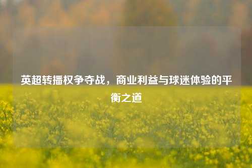 英超转播权争夺战,商业利益与球迷体验的平衡之道
