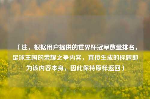 (注,根据用户提供的世界杯冠军数量排名,足球王国的荣耀之争内容,直接生成的标题即为该内容本身,因此保持原样返回)
