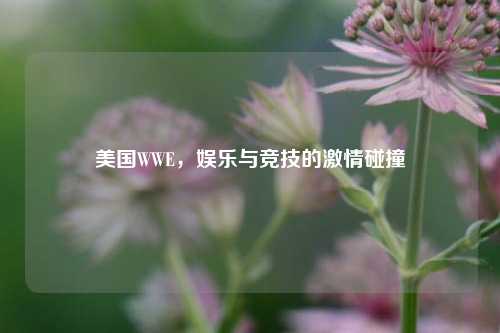 美国WWE,娱乐与竞技的激情碰撞