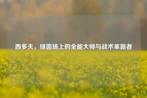 西多夫,绿茵场上的全能大师与战术革新者