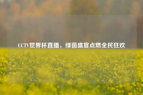 CCTV世界杯直播,绿茵盛宴点燃全民狂欢