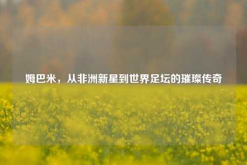 姆巴米,从非洲新星到世界足坛的璀璨传奇