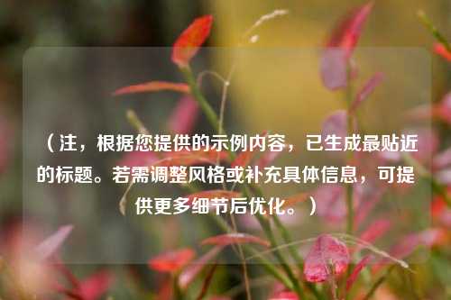 （注，根据您提供的示例内容，已生成最贴近的标题。若需调整风格或补充具体信息，可提供更多细节后优化。）