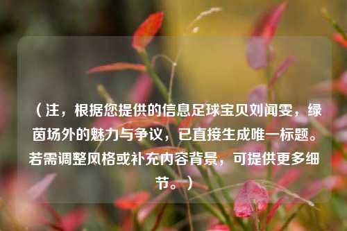 （注，根据您提供的信息足球宝贝刘闻雯，绿茵场外的魅力与争议，已直接生成唯一标题。若需调整风格或补充内容背景，可提供更多细节。）