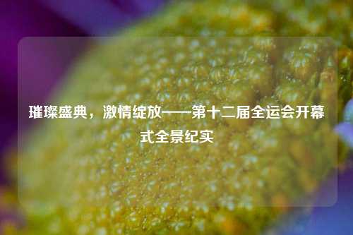 璀璨盛典,激情绽放——第十二届全运会开幕式全景纪实
