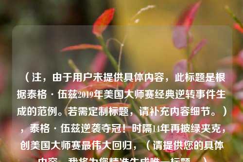 (注,由于用户未提供具体内容,此标题是根据泰格·伍兹2019年美国大师赛经典逆转事件生成的范例。若需定制标题,请补充内容细节。),泰格·伍兹逆袭夺冠!时隔14年再披绿夹克,创美国大师赛最伟大回归,(请提供您的具体内容,我将为您精准生成唯一标题。)