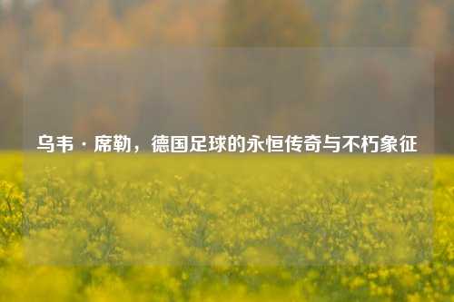 乌韦·席勒，德国足球的永恒传奇与不朽象征