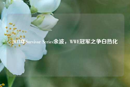 2013年Survivor Series余波，WWE冠军之争白热化
