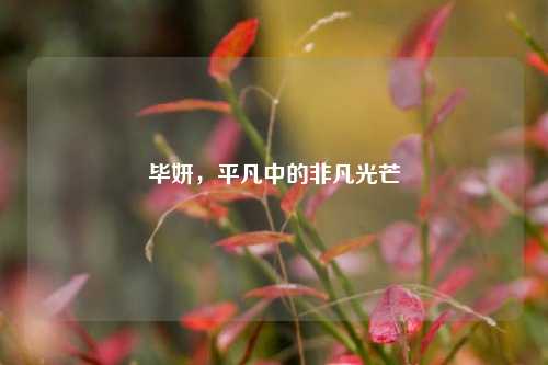 毕妍，平凡中的非凡光芒