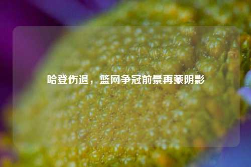 哈登伤退，篮网争冠前景再蒙阴影