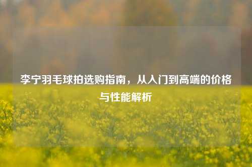 李宁羽毛球拍选购指南,从入门到高端的价格与性能解析