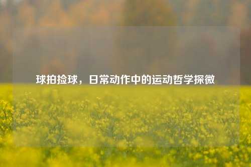 球拍捡球,日常动作中的运动哲学探微