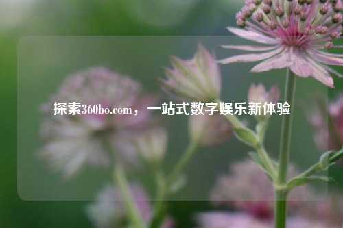 探索360bo.com，一站式数字娱乐新体验