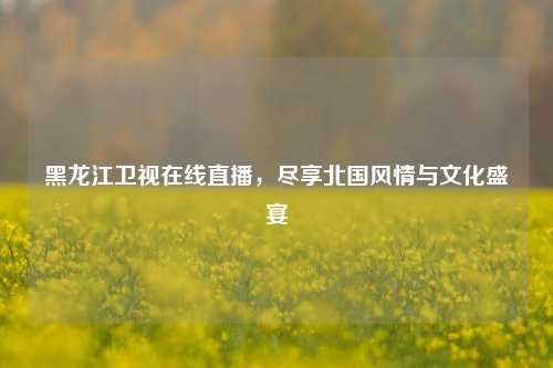 黑龙江卫视在线直播,尽享北国风情与文化盛宴