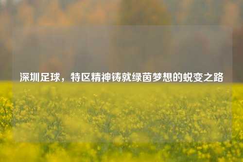 深圳足球,特区精神铸就绿茵梦想的蜕变之路