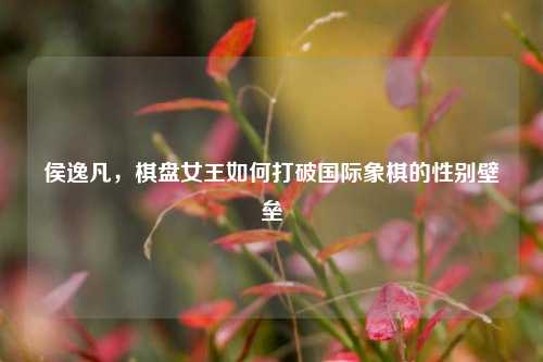 侯逸凡，棋盘女王如何打破国际象棋的性别壁垒