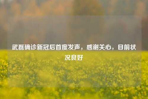 武磊确诊新冠后首度发声,感谢关心,目前状况良好