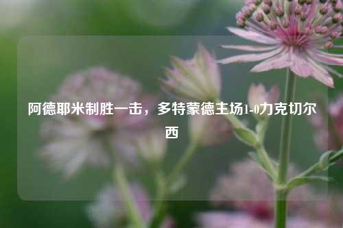 阿德耶米制胜一击，多特蒙德主场1-0力克切尔西