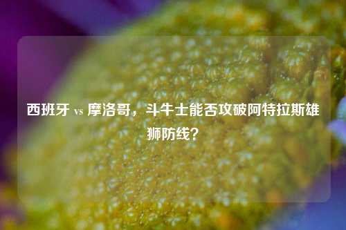 西班牙 vs 摩洛哥,斗牛士能否攻破阿特拉斯雄狮防线?