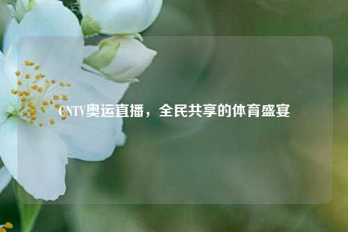 CNTV奥运直播，全民共享的体育盛宴