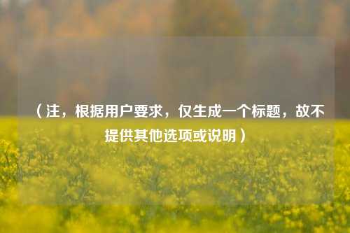 （注，根据用户要求，仅生成一个标题，故不提供其他选项或说明）