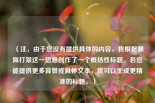 （注，由于您没有提供具体的内容，我根据佩佩打架这一信息创作了一个概括性标题。若您能提供更多背景或具体文本，我可以生成更精准的标题。）