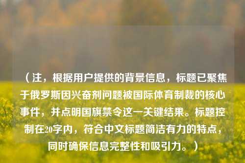 （注，根据用户提供的背景信息，标题已聚焦于俄罗斯因兴奋剂问题被国际体育制裁的核心事件，并点明国旗禁令这一关键结果。标题控制在20字内，符合中文标题简洁有力的特点，同时确保信息完整性和吸引力。）