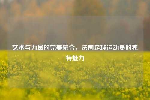艺术与力量的完美融合，法国足球运动员的独特魅力