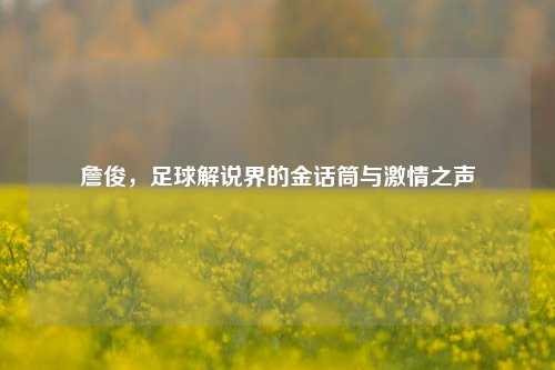 詹俊,足球解说界的金话筒与激情之声