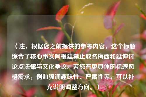 （注，根据您之前提供的参考内容，这个标题综合了核心事实阿根廷禁止取名梅西和延伸讨论点法律与文化争议。若您有更具体的标题风格需求，例如强调趣味性、严肃性等，可以补充说明调整方向。）